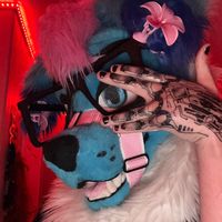 hexeldahusky