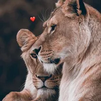 original sound - buterf88