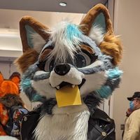 zephyriwolf