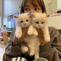 sweetmochis_