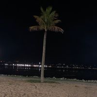 021_solitaria0