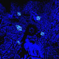 SMB with HONGJOONG Ateez