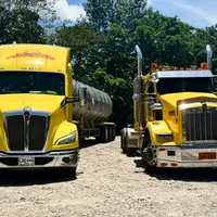 original sound - rony_303