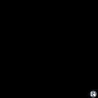 rhlnm1