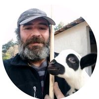 tam.bagimsiz.dag.adami