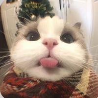 andy._0718