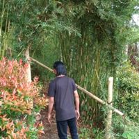 suara asli - Anek hudep dalam peurantau