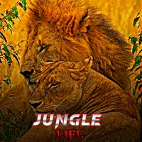 original sound - junglegeos