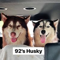 92.husky