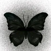 original sound - blancarojasarmijo