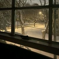 оригінальний звук