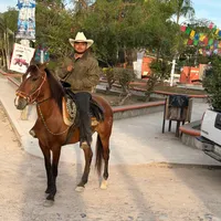 La carcachita banda ráfaga
