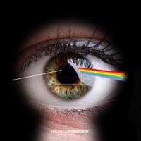 original sound - El Muro De Pink Floyd