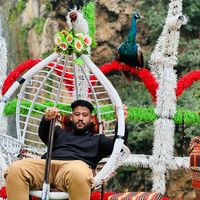 الصوت الأصلي