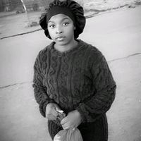 primrosetakawira