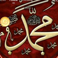 muhammad.usman5473