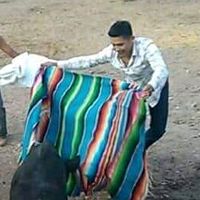 guevaramauri1