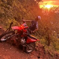 maynor0748