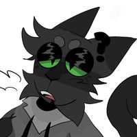 theslugcats