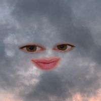 emermbiemervendlindje