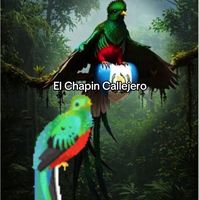 elchapincallejero