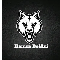 original sound - hamza_bolani7
