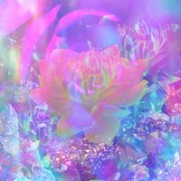 bedazzledpink