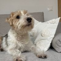 hugo_parsonrussell