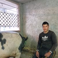 user26028159130772