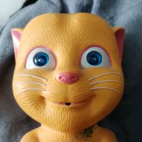 tom228228