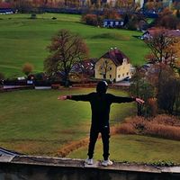 الصوت الأصلي