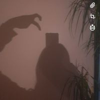 alles.acc.with.besties