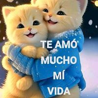 fabiolaperez870