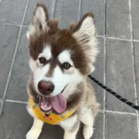 original sound - nalanalita123