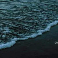 original sound - sintiendo.canciones