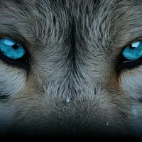 original sound - wolf.oficial10