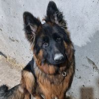 tiktok.com12222222223