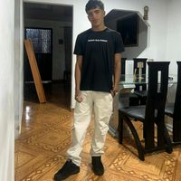 palomino_jx