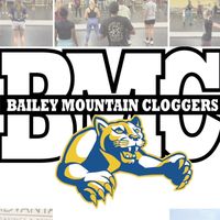 baileymountaincloggers