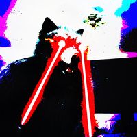 wolfstarsings