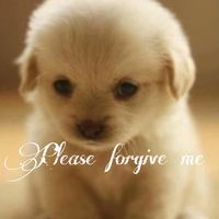 myearsbleedfromthenoise