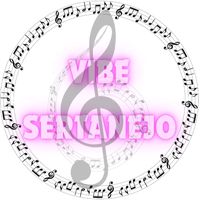 vibe.sertanejo20