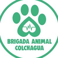 brigada.animal.co