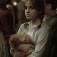 draco_52