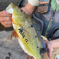 blackwater_adventuresgy