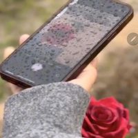 الصوت الأصلي