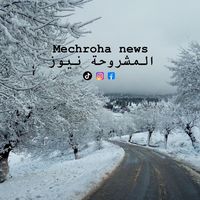 mechroha_news