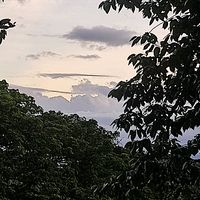 kiara_cp