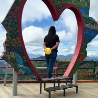 evelynromero8168