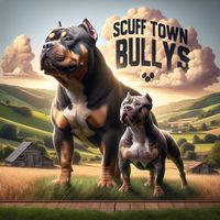 scufftownbullys